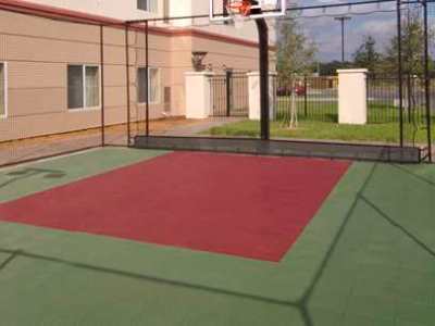 Hotel Homewood By Hilton Tampa-brandon