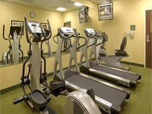 Homewood By Hilton Tampa-brandon Hotel Tampa